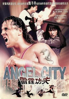 雷霆功夫 Der Puma - Kämpfer mit Herz