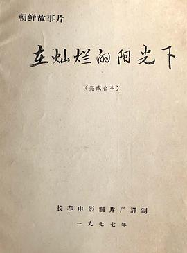 在灿烂的阳光下 在明亮的太阳下