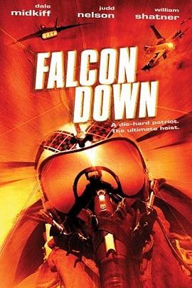 截杀总动员 Falcon Down