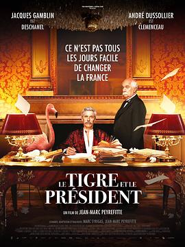 消失的总统 Le Tigre et le Président