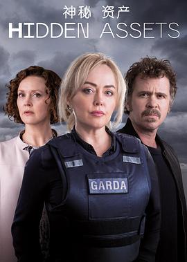 神秘资产 Hidden Assets
