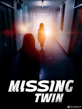 失踪的双胞胎 The Missing Twin