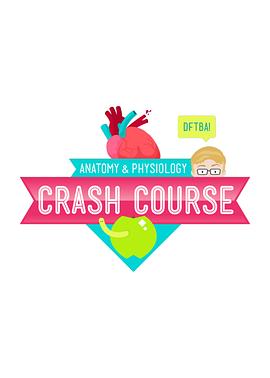 十分钟速成课：解剖与生理 第一季 Crash Course: Anatomy & Physiology Season 1