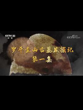 罗平圭山古墓发掘记