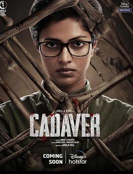 法医缉凶 Cadaver