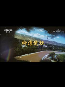 柳湾遗址