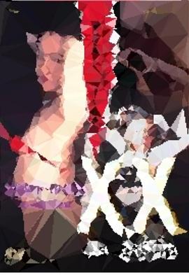 XX 美丽的目标 XX 美しき標的