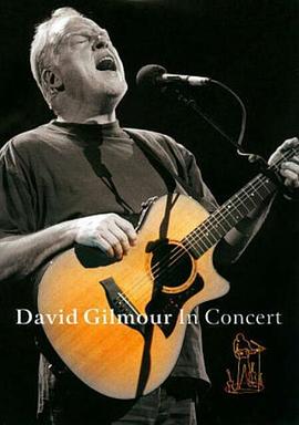 大卫·吉尔莫演出中 DAVID GILMOUR IN CONCERT