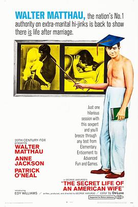 太太的秘密 The Secret Life of an American Wife