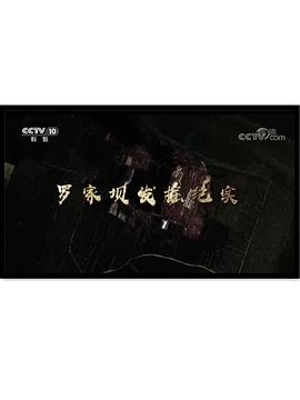 罗家坝发掘纪实