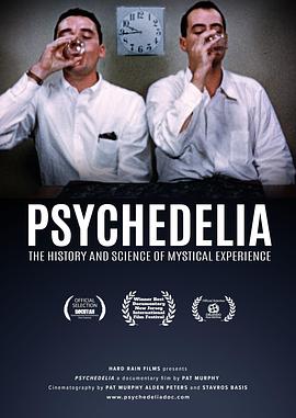 迷幻时刻 Psychedelia