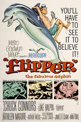 海豚飞宝 Flipper