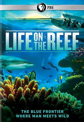 跃动大堡礁 第一季 Life on the Reef Season 1