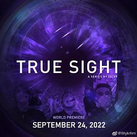 真视界 TI10 True Sight TI10