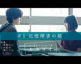 夜の連続TikTok小説 セカコイ