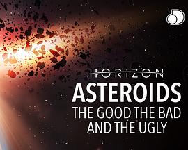 小行星的好坏美丑 Asteroids - The Good, the Bad and the Ugly