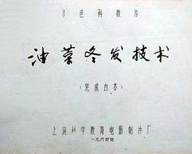 油菜冬发技术