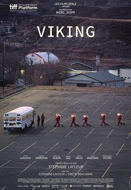 维金探测器 Viking