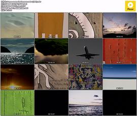 与整个海洋一起游泳 Com O Oceano Inteiro Para Nadar