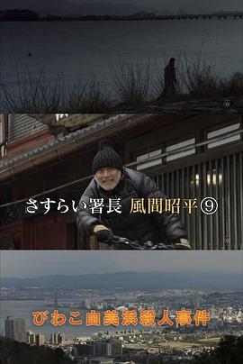流浪署长 风间昭平 第9部 さすらい署長 風間昭平9