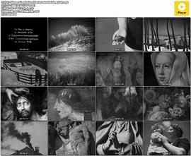 灵感主题 Thèmes d'inspiration