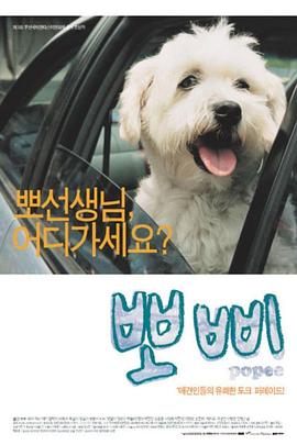 小犬子 뽀삐