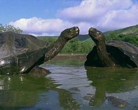 达尔文的世界 Darwin's Brave New World