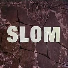 分解 Slom