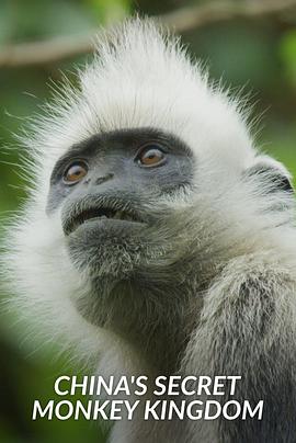 叶猴王国 China's Secret Monkey Kingdom