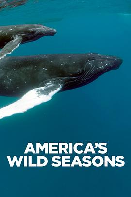 美国荒野的季节 America's Wild Seasons