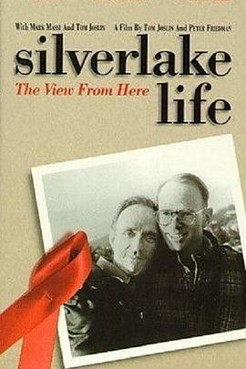 银色之恋 Silverlake Life: The View from Here