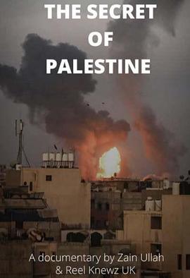 巴勒斯坦的秘密 The secret of Palestine