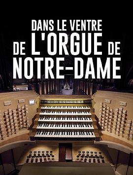 探秘巴黎圣母院管风琴 Dans le ventre de l'Orgue de Notre-Dame