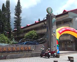 小圈圈Circles in life