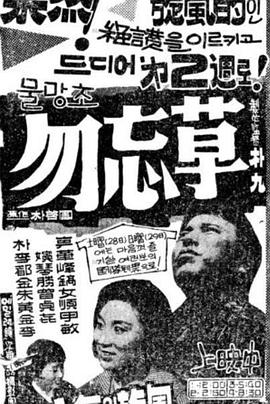 勿忘草 물망초