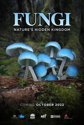 真菌的神秘王国 Fungi: The Web of Life