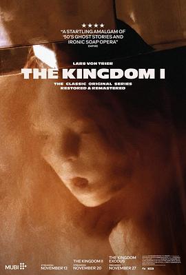 医院风云 第一季 Riget