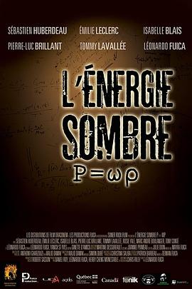 黑暗力量 P=wp L'Energie Sombre