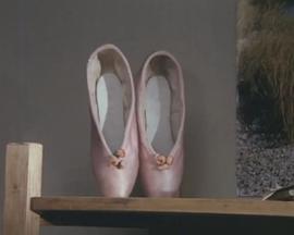 鞋的故事 Shoe show