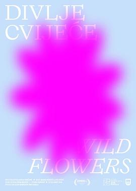 野花盛放的记忆 Wild Flowers