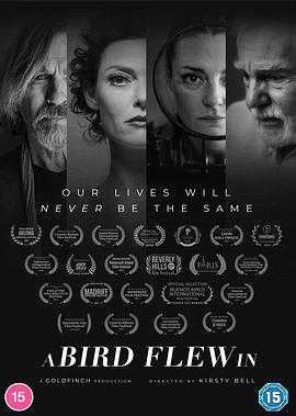 飞进一只鸟 A Bird Flew In