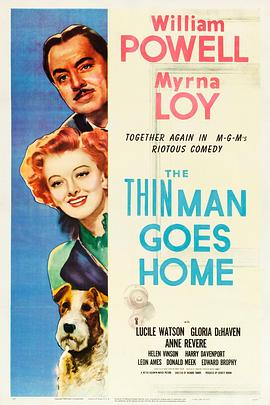 疑云风波 The Thin Man Goes Home