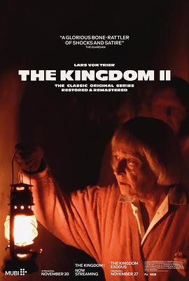 医院风云 第二季 Riget2