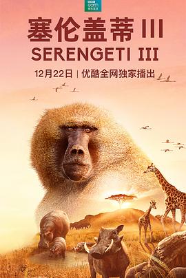塞伦盖蒂 第三季 Serengeti Season 3