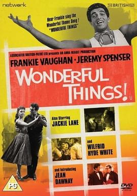 精彩绝伦 Wonderful Things!