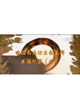 临淄南马坊东南墓群发掘纪实（六）