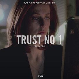 X档案 9.6 信任危机 The X-Files 9.6 Trust No 1