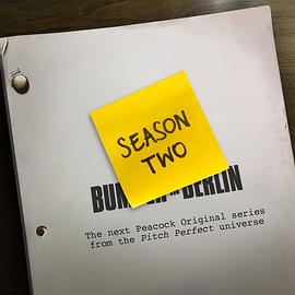 完美音调：邦珀在柏林 第二季 Pitch Perfect: Bumper in Berlin Season 2