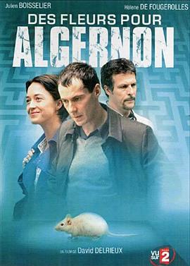 献给阿尔吉侬的花束 Des fleurs pour Algernon