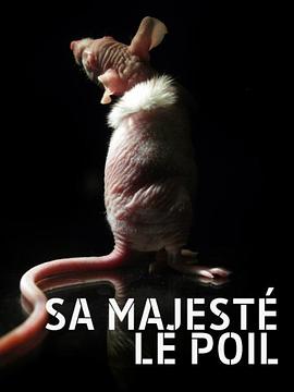 毛发的世界 Your Hairness